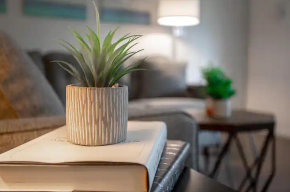 Westshore South Tampa Apt Apartman Kültér fotó
